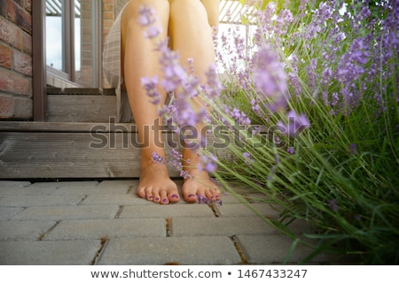 Stock fotó: Bare Feet Of A Woman Surrounded By Flowers