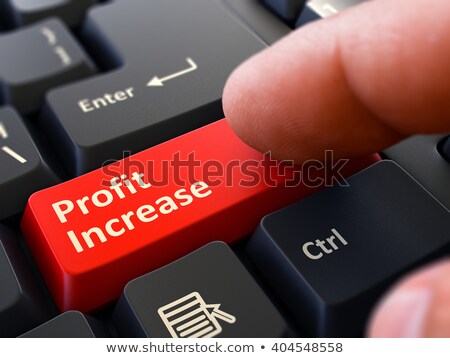 Stock fotó: Profit Increase Key 3d Render