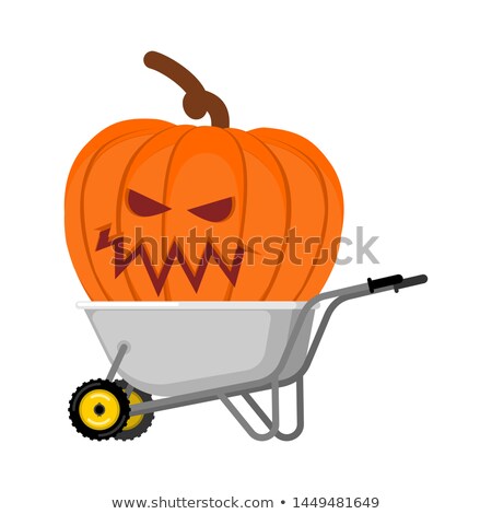 ストックフォト: Wheelbarrow Halloween Big Terrible Pumpkins Vintage Pumpkin V