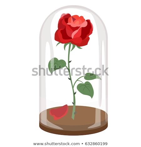 Foto stock: Vector Red Rose Glass Flask