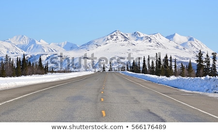 ストックフォト: Road On Alaska