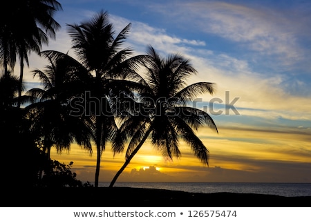[[stock_photo]]: Sunset Over Caribbean Sea Turtle Beach Tobago