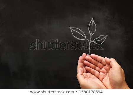 ストックフォト: Potential - Hand Drawn On Green Chalkboard