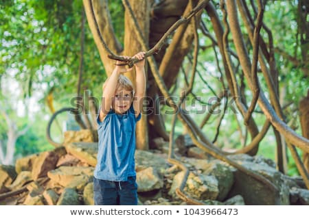 Stockfoto: Boy Watching Tropical Lianas In Wet Tropical Forests