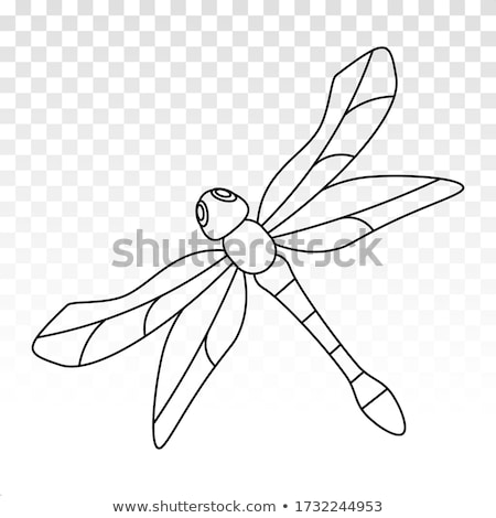 ストックフォト: Dragonfly Outline Icon Animal Vector Illustration