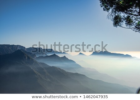 Stock photo: Pathway To Tea Plantations In Munnar India