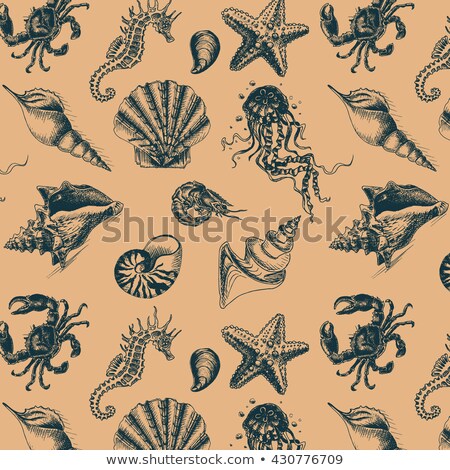 Stockfoto: Crab And Jellyfish Seashell And Sea Star Pattern