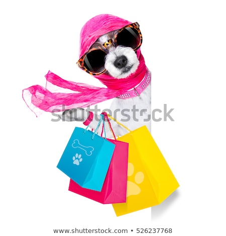 Stock photo: Shopaholic Diva Dog