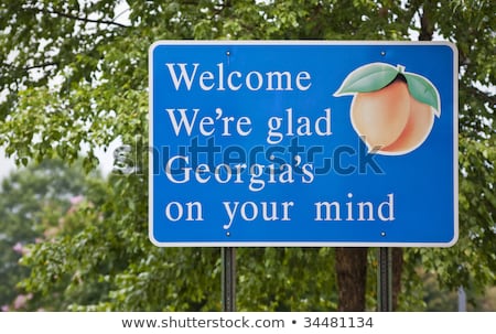 Foto stock: Road Sign Welcome To Georgia