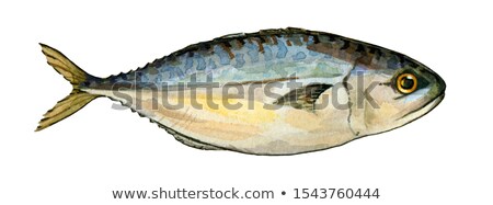 Stock fotó: Nice Smoked Mackerel Tail