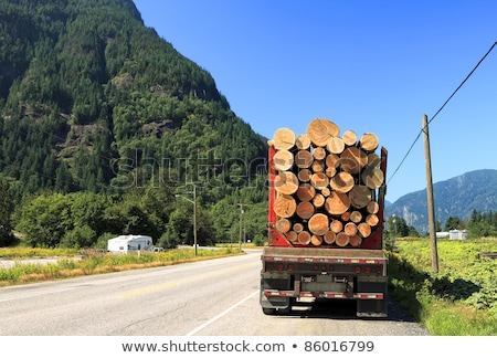 Stock fotó: Truck And Trailer Loaded With Pine Tree Trunks
