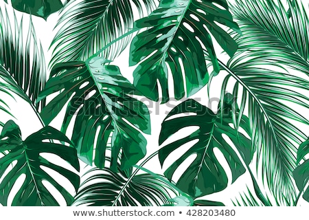 Сток-фото: Tropical Palm Leaves Vector Seamless