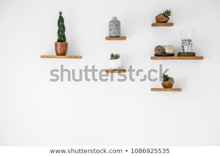 Stock photo: Wall Shelves