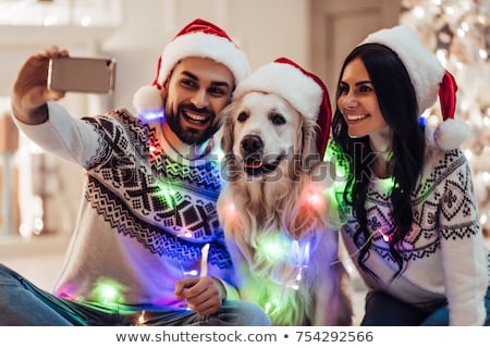 Stock photo: Couple Of Dogs On Christmas Holidays