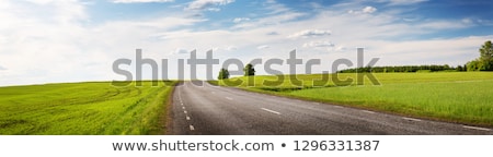 [[stock_photo]]: Nature Scene With Road And Field