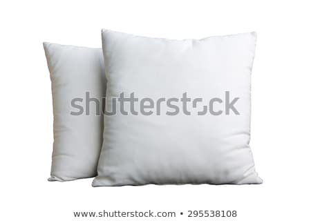 Zdjęcia stock: Two Cushions