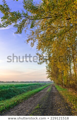 Sunrise Over The Vehnemoor Foto stock © Dar1930