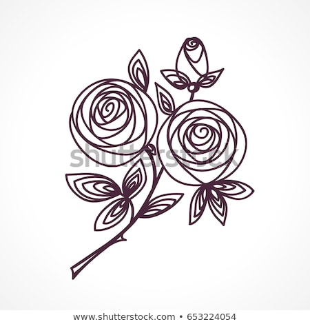 Stock foto: Flower Bouquet Stylized Roses Hand Drawing