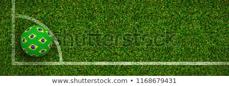 [[stock_photo]]: Football In Brazilian Colours Against Green Grass