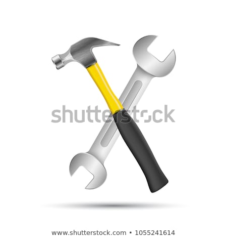 Stok fotoğraf: Wrench Screw Repair Icon Business Infographic