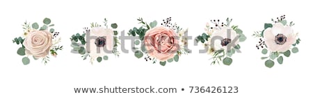 Stockfoto: Floral Background With Roses Vintage Style