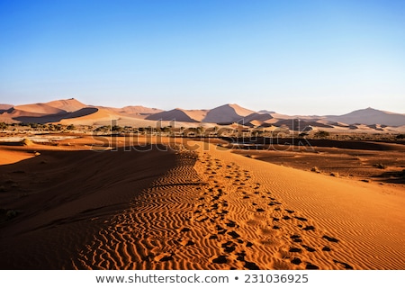 Dune In Hidden Vlei In Namib Desert Zdjęcia stock © Artush