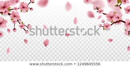 Foto stock: Narural Landscape Of Blossom Trees