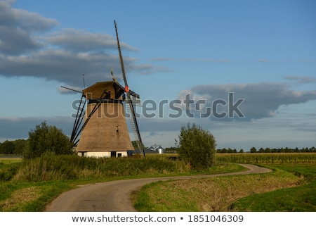 Сток-фото: Windmill Oude Doornse Molen