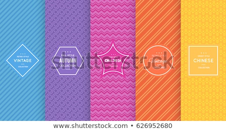 Сток-фото: Set Of Colorful Stylish Stickers