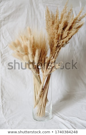 Zdjęcia stock: Bunch Of Flowers On The Abstract Background With Rag