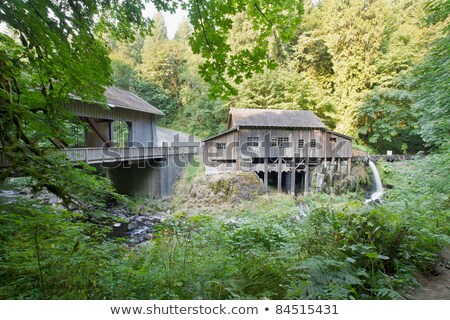 Foto stock: Covered Bridge Over Cedar Creek In Washington