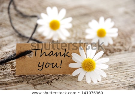 Thank You Greeting Card With Flower Zdjęcia stock © Nelosa