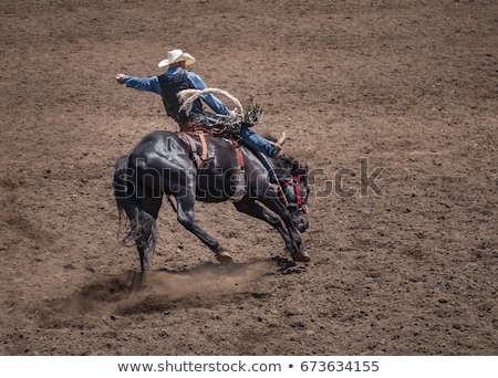 Foto stock: Rodeo Cowboy