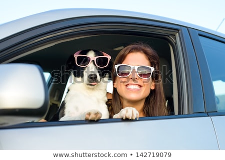 ストックフォト: Woman And Dog In Car On Summer Travel