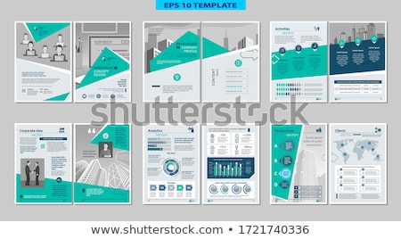 Stock foto: Vector Infographic Report Template