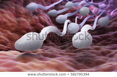 Stock photo: Sperm