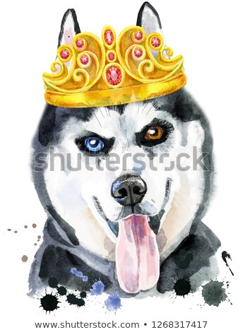 ストックフォト: Watercolor Portrait Of Husky With Golden Crown