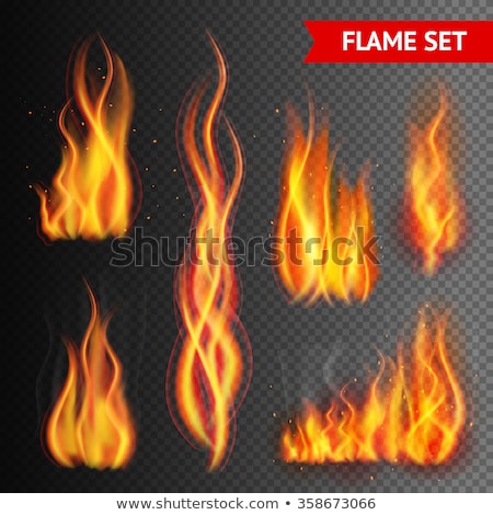 Foto stock: Realistic Decorative Flammable Fire Flame Vector