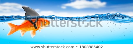 Foto stock: Blue Sky And Goldfish