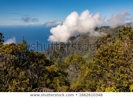 ストックフォト: Fog Forms On Kalalau Valley Kauai