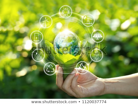 Foto stock: Hand Holding Light Bulb