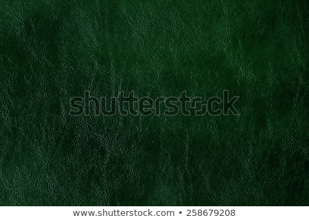 [[stock_photo]]: Green Leather