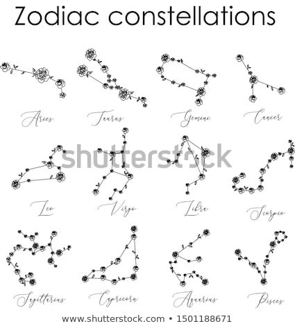 Foto stock: Constellation Flower