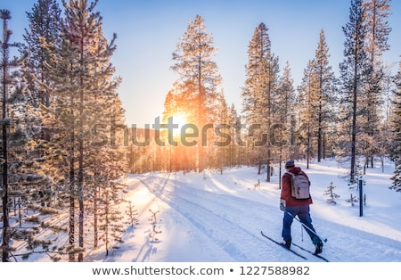 Stock photo: Cross Country Skiing