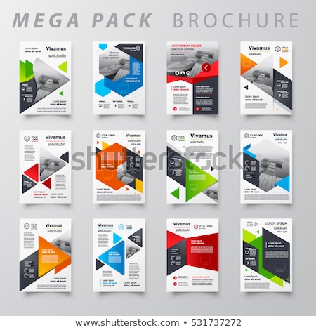 Stock foto: Set Of Infographics Flyer And Brochure Designs