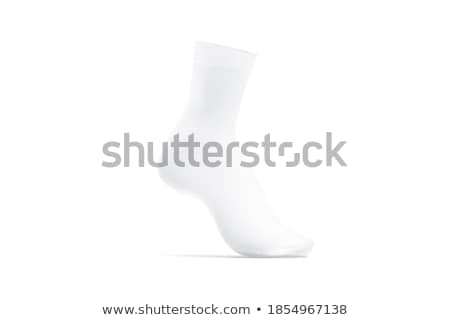 Сток-фото: Woman Legs Wearing Long Stockings Isolated On White