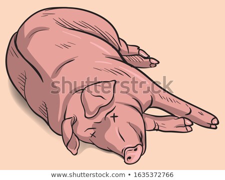 Zdjęcia stock: Dead Pigs