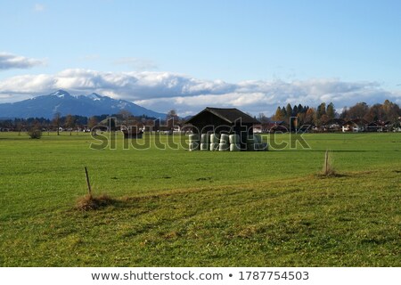 Stock foto: Typical Traditional Alpine Barn Shed