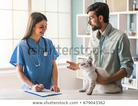 Сток-фото: Young Caucasian Veterinarian Examining Cat