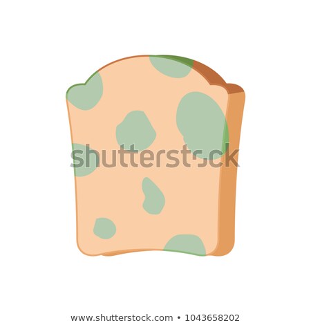 Foto stock: Piece Of Bread With Mold Isolated Foul Food Vector Illustration